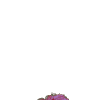 Hardin Bourke Entertainment GIFs on GIPHY - Be Animated
