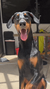 hello-hi-good-morning-sK09EYAqiHXC4E4dIh