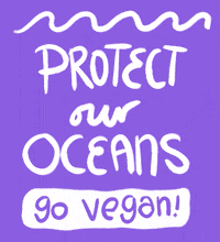 Worldoceansday Gifs Get The Best Gif On Giphy Worldoceansday Gifs Get The Best Gif On Giphy