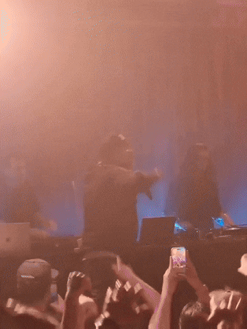 Hands Up Concert GIF