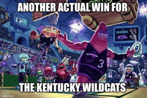 Kentucky Wildcats GIF