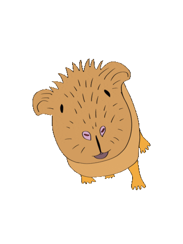 Djur Marsvin Sticker by VetZoo