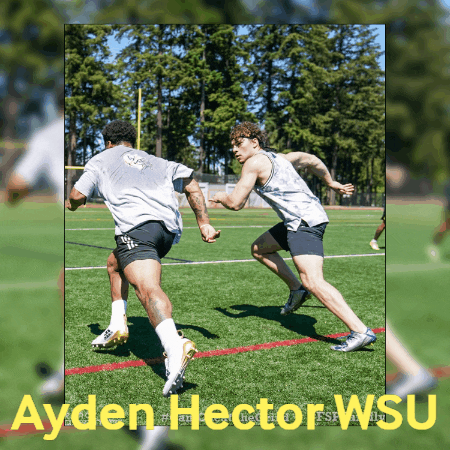 Ayden Hector Wsu GIF