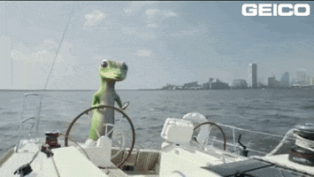 Scared Water GIF by GEICO