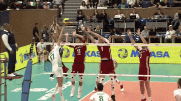 Dive Wow GIF by Volleyball World