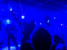 theeitchyo GIF