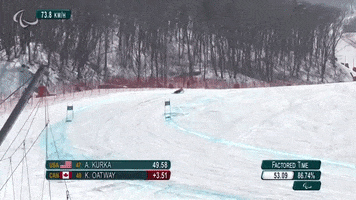 Paralympic Games Ski GIF by International Paralympic Committee