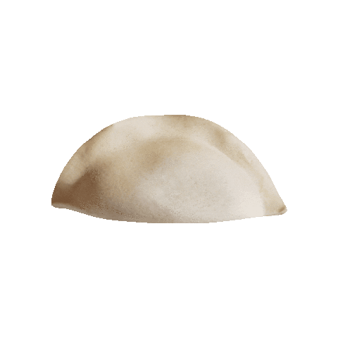 Essen Dumpling Sticker by getvoila
