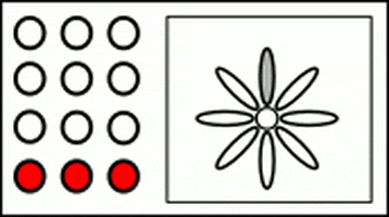 Loop GIF
