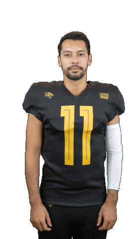 Léopards de Rouen - Football Américain Sticker