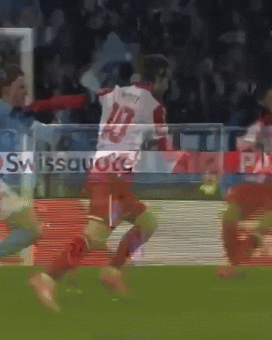 GIF by FK Crvena zvezda