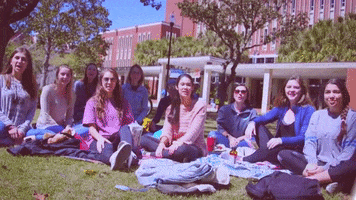 uf GIF by University of Florida College of Education