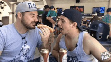 lady and the tramp talking yanks GIF