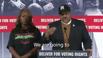Voting Rights GIF by Black Voters Matter Fund