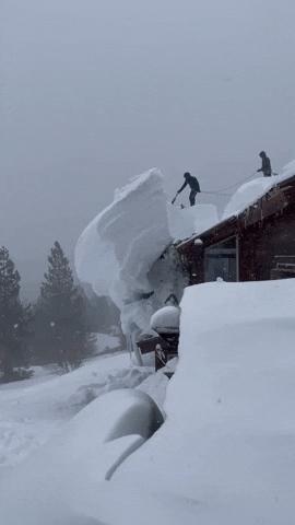 Snow House GIF by Storyful