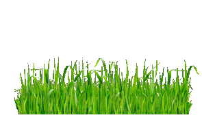 Garden Sticker by Ambrogio Robot
