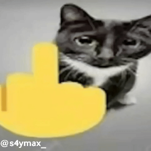 Cat Middle Finger GIF