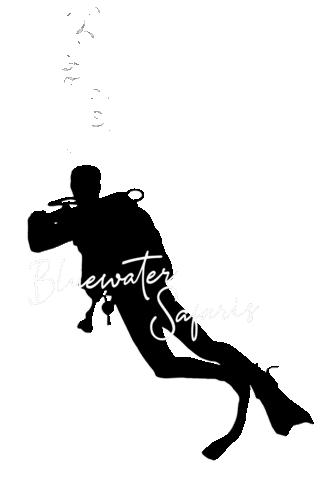 Bluewatersafaris Sticker