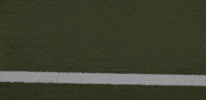 GIF by Lafayette Leopards