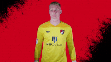 Football Ball GIF by AFC Bournemouth
