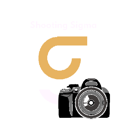 Agencia Shooting Sticker by Sigma Marketing