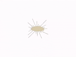 GIF by Queen City Collective Coffee