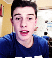 shawn mendes GIF