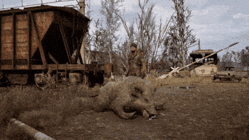 Stalker GIF by GSC Game World