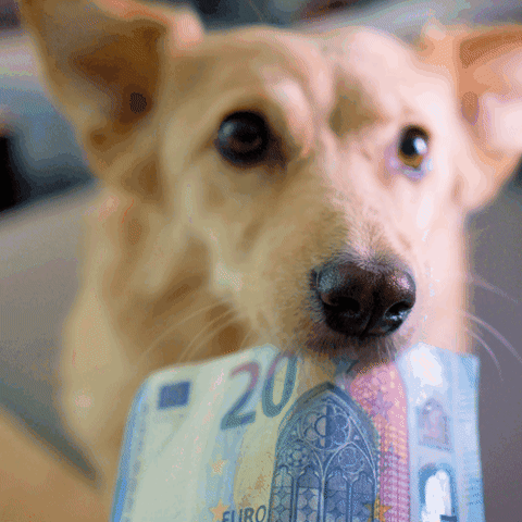 Money Buy GIF