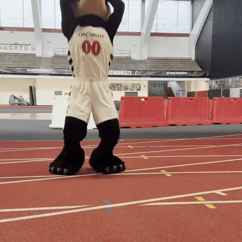 Sad Football GIF by Bearcat