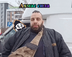 Чшд GIF