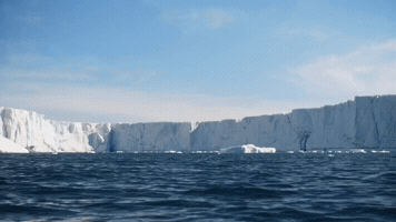 Fun Flying GIF by CaptainBNB ORIGIN