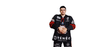 Ice Hockey Goal Sticker by Boxers de Bordeaux