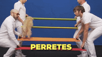 ProggerXXI dogs goat ikea ok go GIF