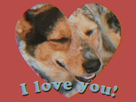 I Love You GIF by GIPHY Studios 2021
