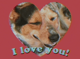 I Love You GIF by GIPHY Studios Originals
