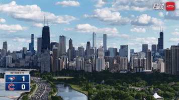 Chicago Cubs Mlb GIF