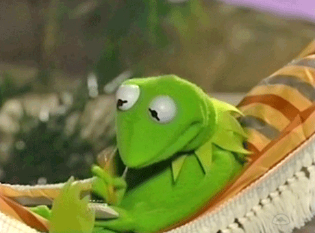 Gif of Kermit The Frog sitting in a hammock writing on a notepad
