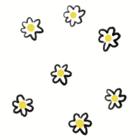 Flowers Indie GIF by Cut the Mustard