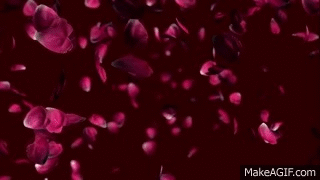 Image result for flower petals gif