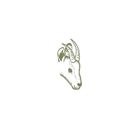 Concello de Pontevedra Sticker