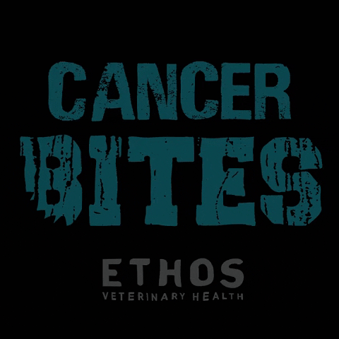 ethosvethealth cancer ethos vet health ethos vet vet life GIF