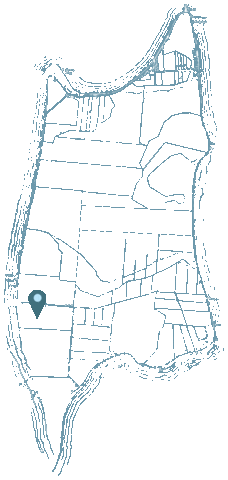 Canadian Wine Sticker by Pelee Island Winery