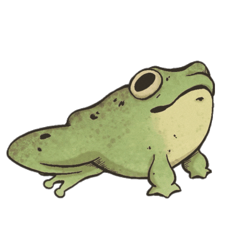 Frog Toad Sticker