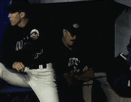 New York Mets Baseball GIF
