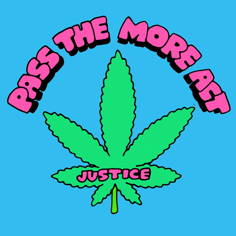 Digital art gif. Inside an illustration of a green marijuana leaf are the words, "Racial, immigration, economic justice," all below pink text that reads "Pass the More act," everything against a bright blue background.