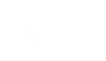 hamburgrollerderby Sticker