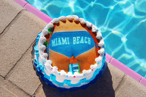 cake miami GIF by Signe Pierce