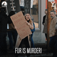 Protesting Paramount Network GIF by Yellowstone