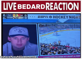 Bedard GIF
